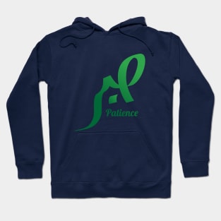 Patience صبر Hoodie